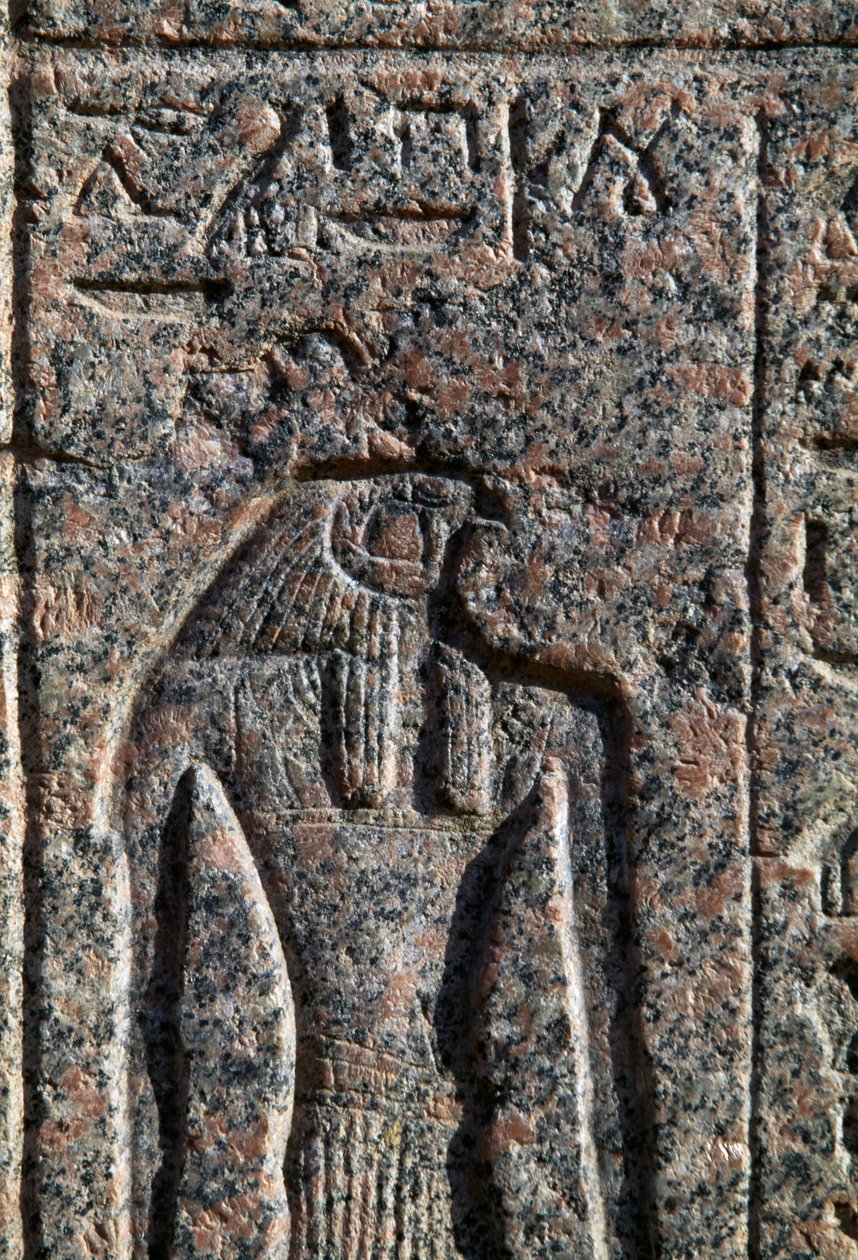 Avbildning av Horus, inskription och relief av Horus och Thot, Amenhoteps sarkofag, Memfis, Egypten, Nya riket, XIX:e dynastin av Egyptian 19th Dynasty