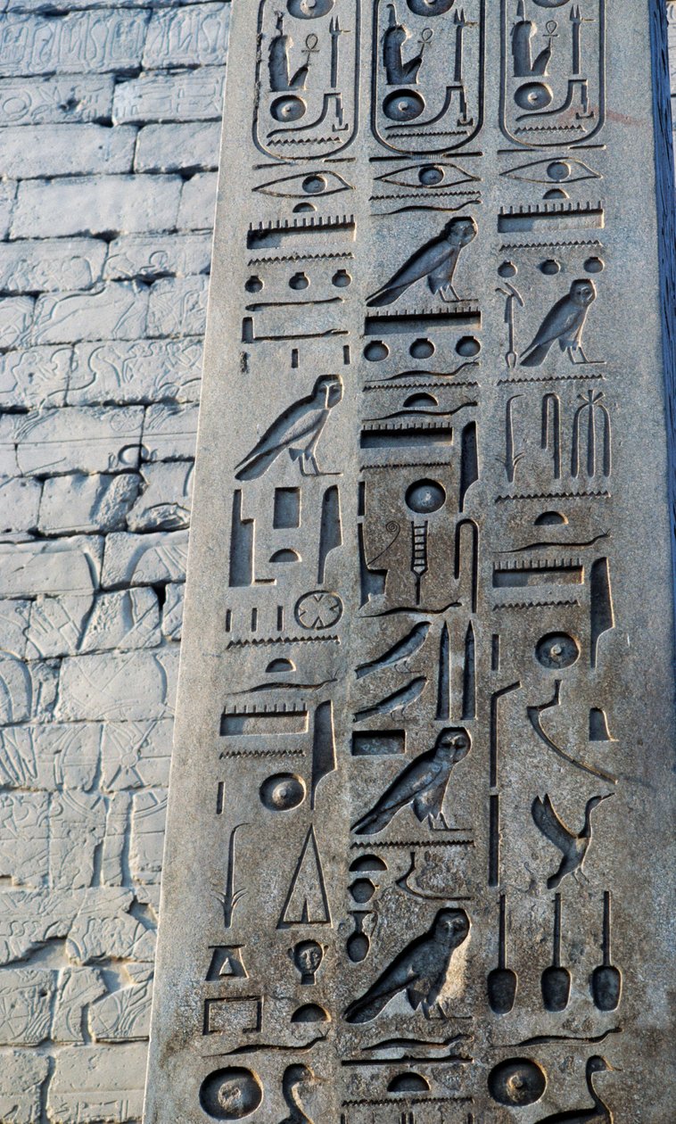 Detalj av obelisk i rosa granit, höjd 25 meter, beställd av Ramses II, Amontemplet, Karnaktempelkomplexet, Luxor, Thebe (UNESCO:s världsarvslista) av Egyptian 19th Dynasty