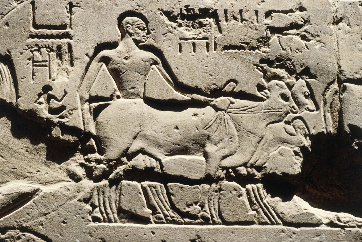 Egypten forntida bes, Luxor, Luxortemplet, Ramses II:s innergård, relief, Nya riket, XIX:e dynastin (1290-1224 f.Kr.) av Egyptian 19th Dynasty