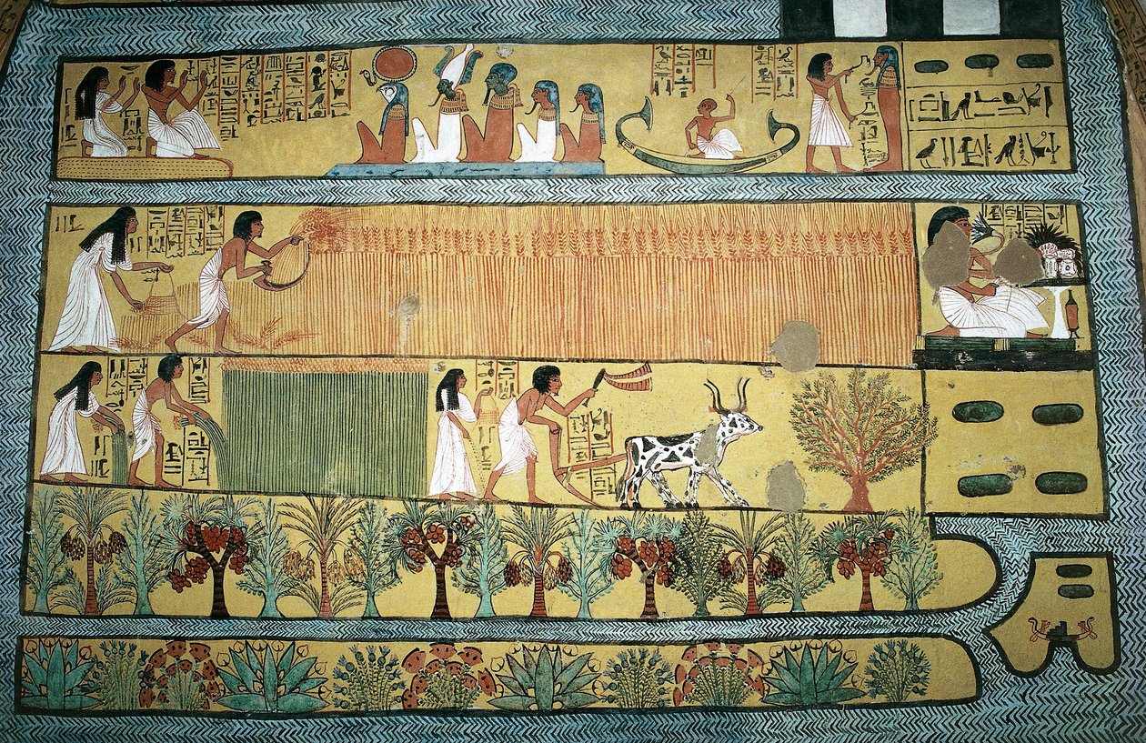Egypten, Thebe, by för statsanställda arbetare vid Dayr al-Madinah (Deir el-Medina), Sennedjems grav, fresk som visar jordbruksscener på Ialus fält, Nya riket, dynasti XIX av Egyptian 19th Dynasty