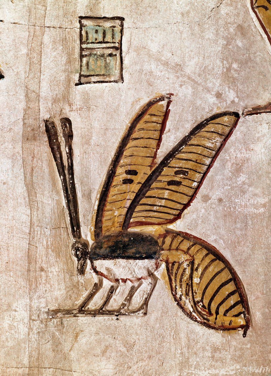 Egyptisk konst: Tomb of Sethi I (Sety I eller Seti I, regne från -1294 till -1279). Detalj av biet. 19:e dynastin Fresco of Luxor (Thebenes plats i kungarnas dal), Nilens vänstra strand, Egypten. - Forntida Egypten: Seti I:s grav (Sety I och Seti I, som re av Egyptian 19th Dynasty