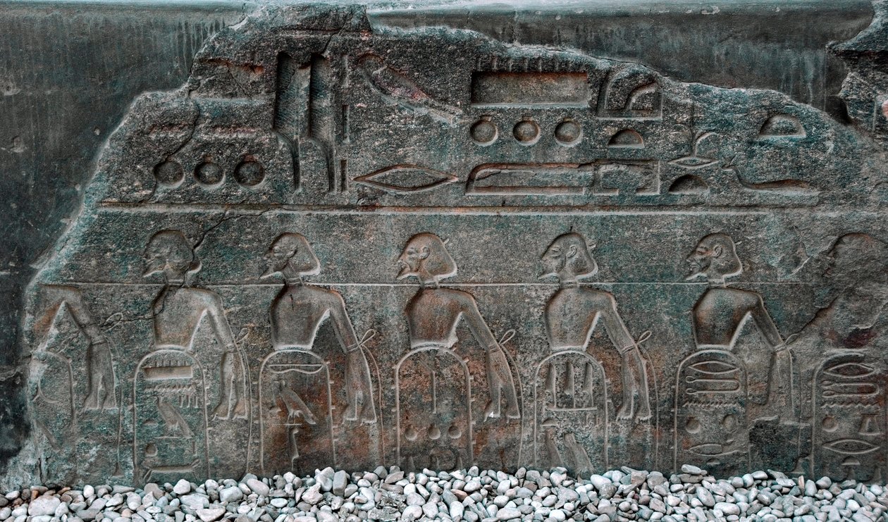 Egyptisk antikvitet: detalj av en relief som dekorerar emblemen för de territorier som erövrats av farao Ramses II (1292-1186 f.Kr.). Luxors tempel. East Bank (Thebe), Egypten av Egyptian 19th Dynasty