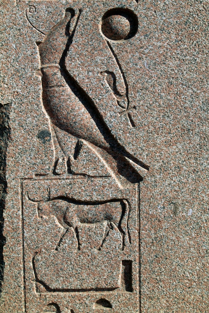Hieroglyf med Horus namn, Amuns stora tempel, Tanis, Egypten, Nya riket, XIX:e dynastin av Egyptian 19th Dynasty