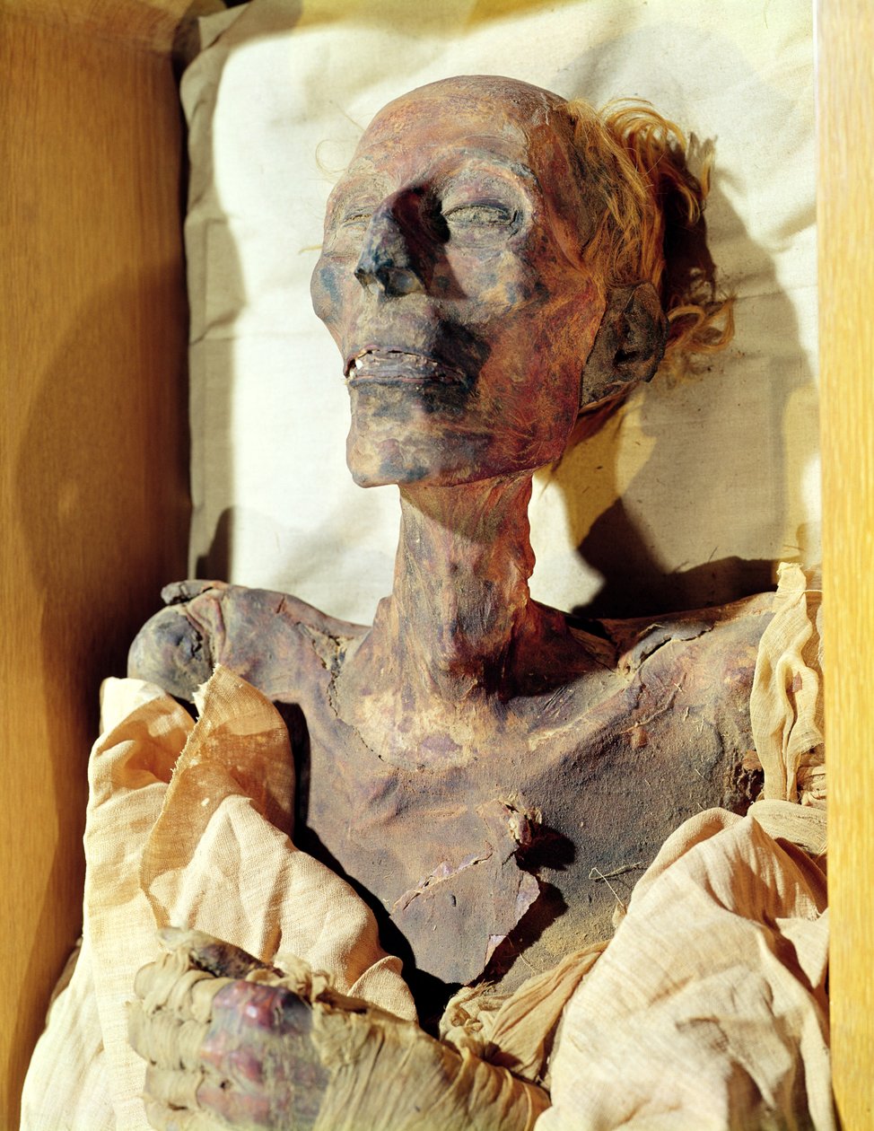 Mumifierad kropp av Ramses II (1304-1237 f.Kr.) hittades i en grav i Deir al-Bahri av Egyptian 19th Dynasty