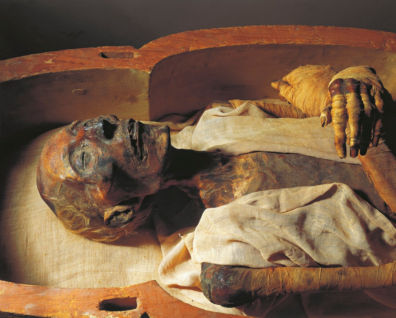 Ramses II:s mumie (ca 1297-1213 f.Kr.), detalj av Egyptian 19th Dynasty