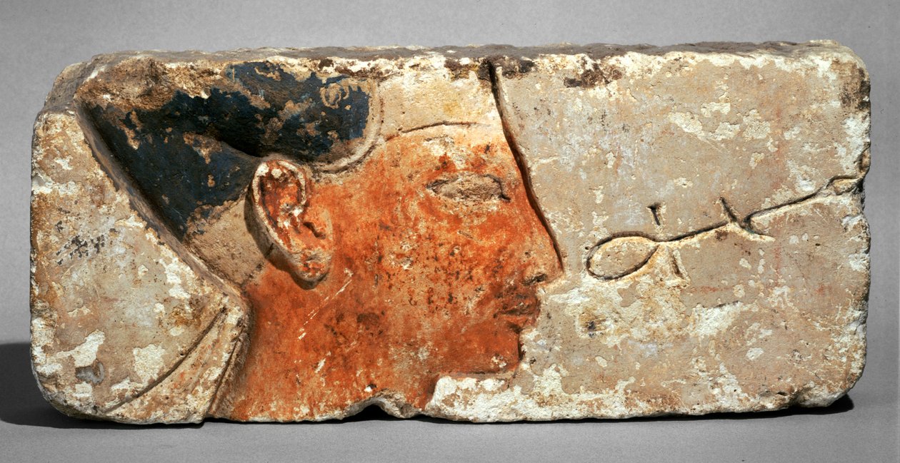 Profil av en kung, troligen Ramses II - Profil av farao Ramses II. Målad kalksten ... av Egyptian 19th Dynasty