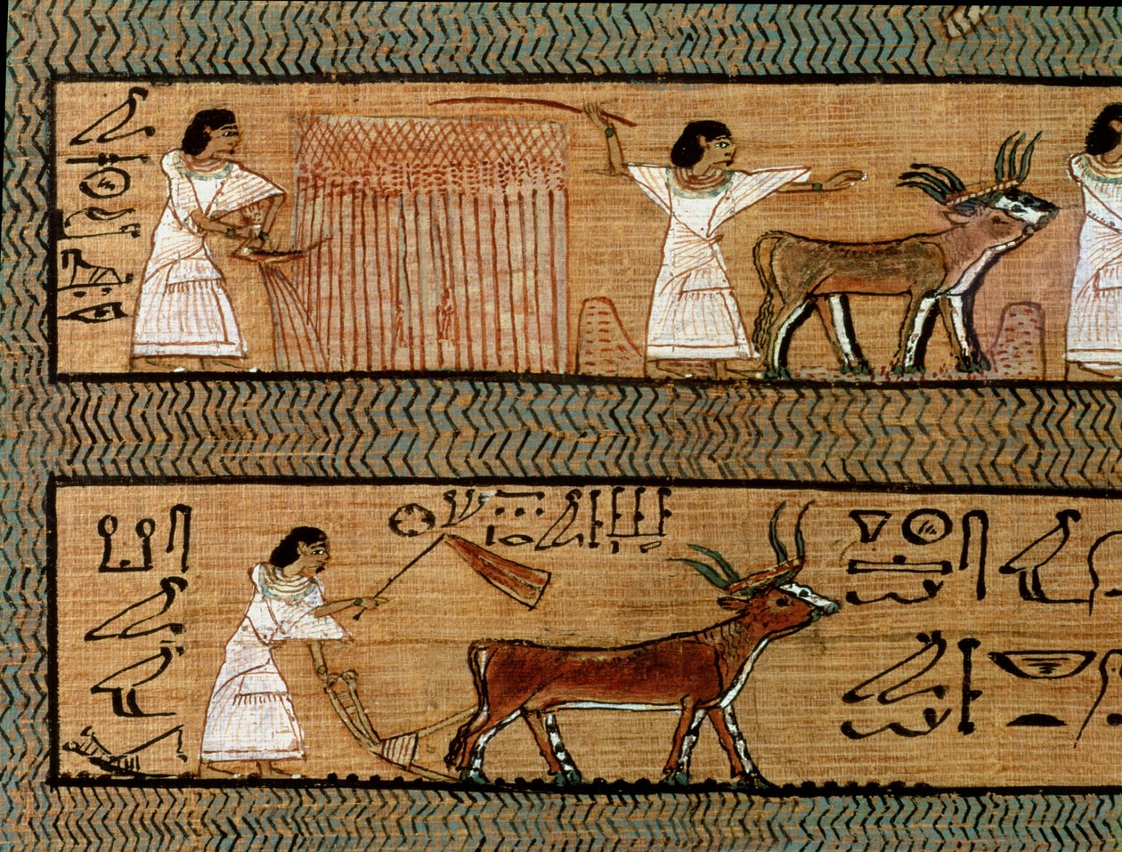 Skörda och plöja, detalj från en skildring av jordbruksaktiviteter i livet efter detta, från The Book of the Dead of the Scribe Any, c.1250 f.Kr. av Egyptian 19th Dynasty