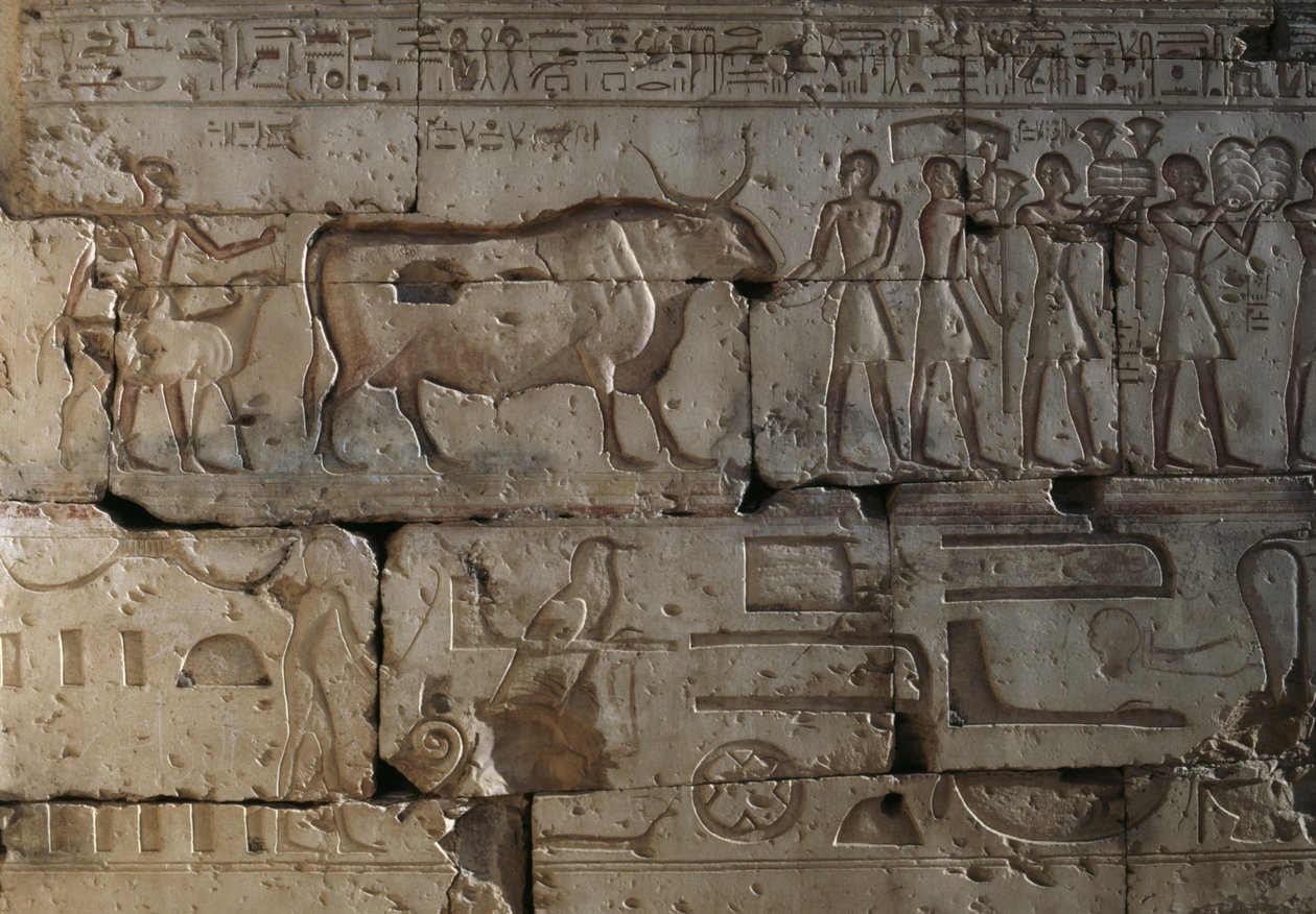 Relief, Ramses II:s tempel, Abydos, Egypten, Egyptisk civilisation, Nya riket, XIX:e dynastin (foto) av Egyptian 19th Dynasty