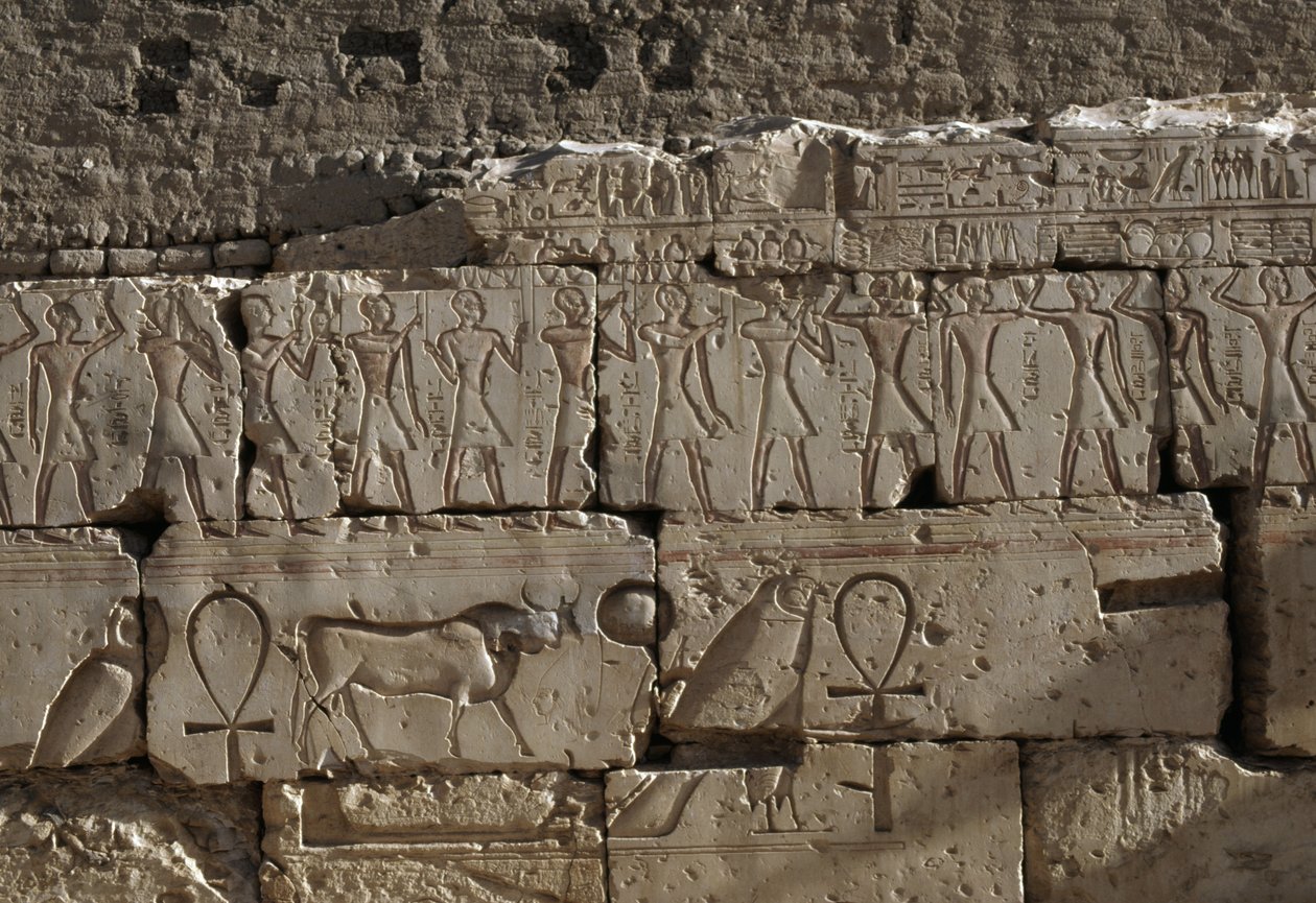 Relief, Ramses II:s tempel, Abydos, Egypten, Egyptisk civilisation, Nya riket, XIX:e dynastin (foto) av Egyptian 19th Dynasty