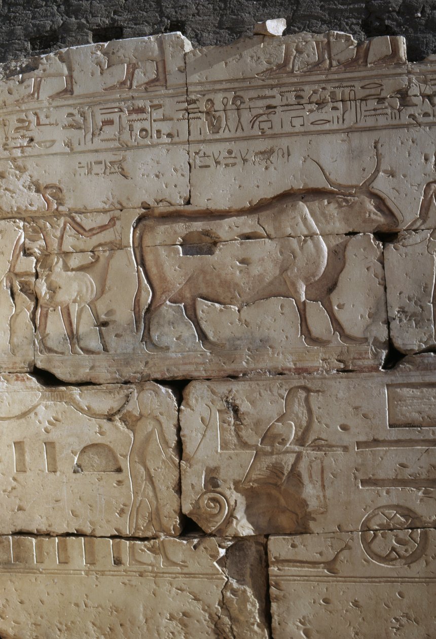 Relief, Ramses II:s tempel, Abydos, Egypten, Egyptisk civilisation, Nya riket, XIX:e dynastin (foto) av Egyptian 19th Dynasty