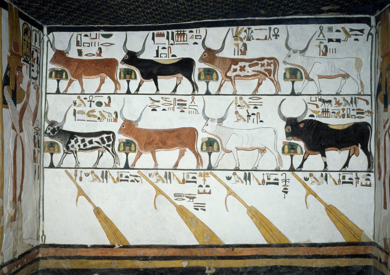 Sju himmelska kor, make-tjur och fyra styråror, kapitel 148 i Book of Dead, detalj från fresker i andra kammaren i Tomb of Nefertari, Valley of Queens, Luxor, Thebe. Egyptisk civilisation, Nya kungariket, dynasti XIX. av Egyptian 19th Dynasty