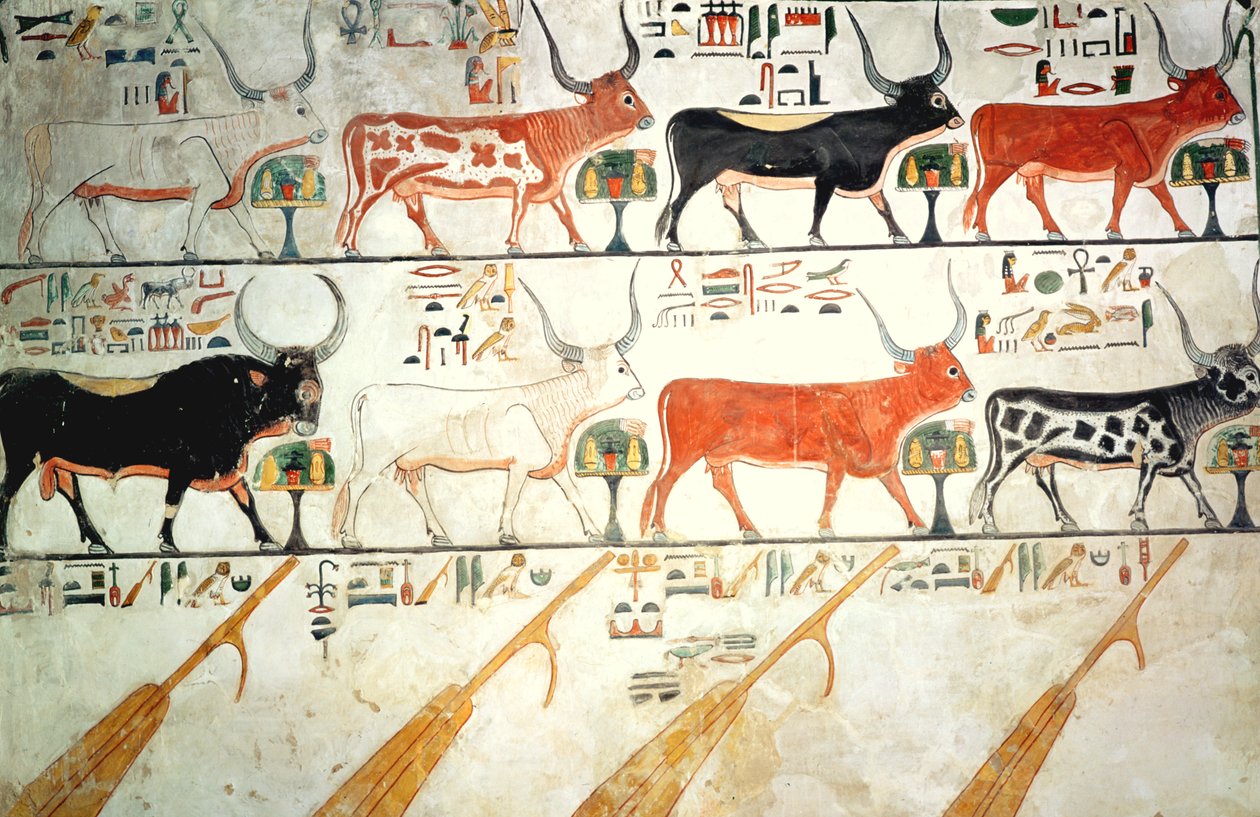 De sju himmelska korna och den heliga tjuren och himlens fyra roder, från Nefertaris grav, New Kingdom (väggmålning) av Egyptian 19th Dynasty