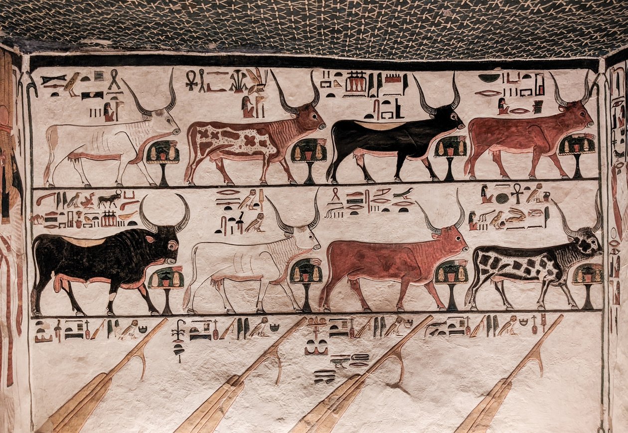 Nefertaris grav (väggmålning) av Egyptian 19th Dynasty