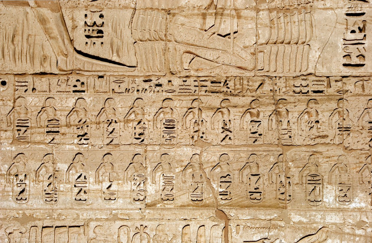 Egyptisk antikvitet: detalj av relieferna av den första pylonen som representerar emblemen för de städer som erövrats av farao Ramses III. Ramses III:s begravningstempel (1187-1156 f.Kr.). Luxor, Medinet Habou, Egypten av Egyptian 20th Dynasty