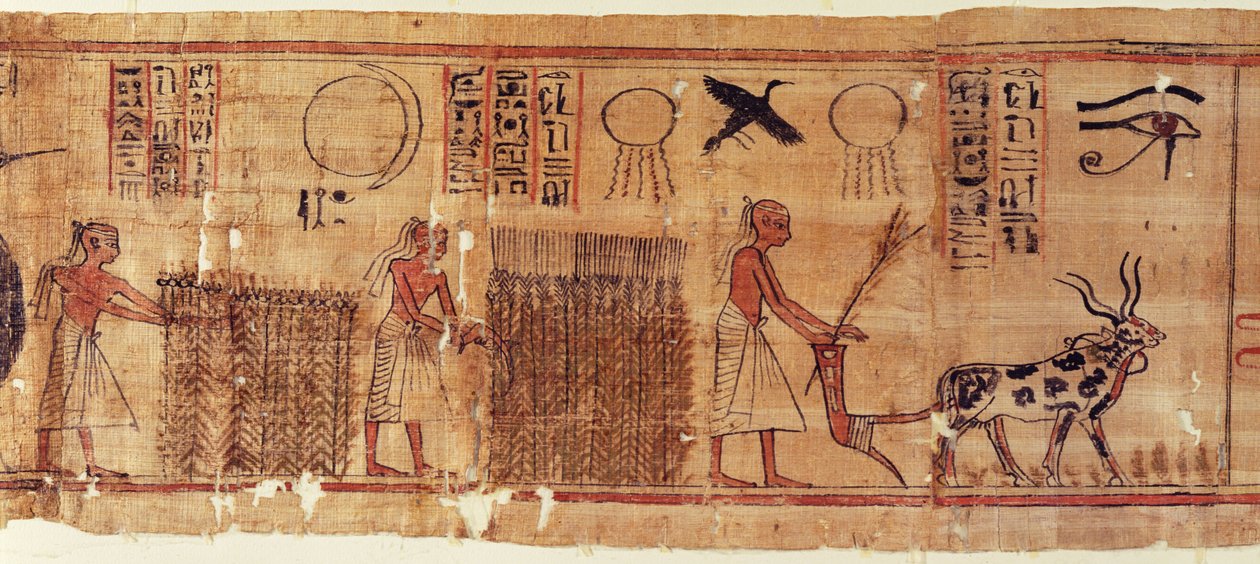Dödbok från Neb-Hepet, detalj av fälten av Egyptian 21st Dynasty