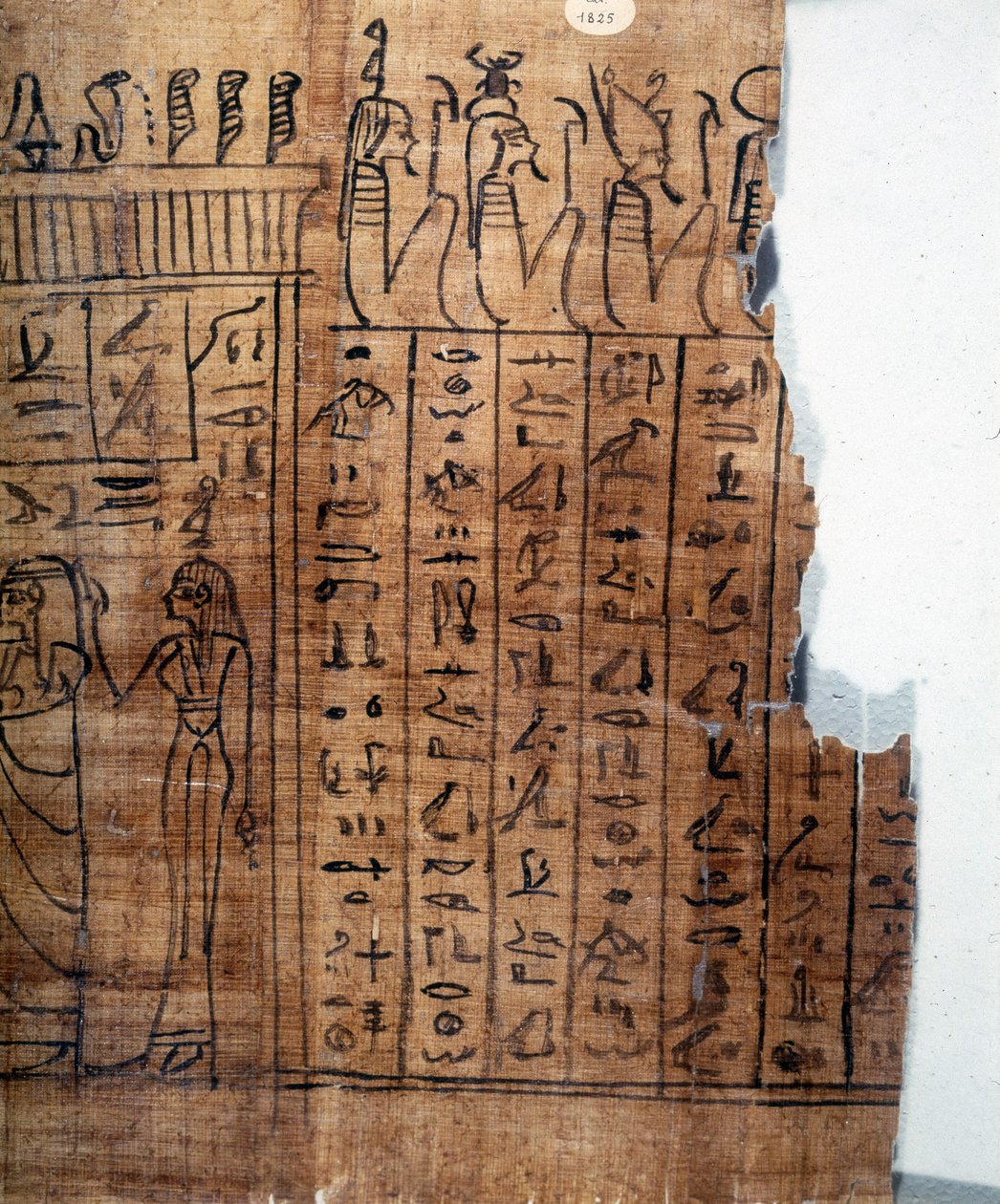 The Book of the Dead: Egyptisk hieroglyf på en papyrus från den 22:a dynastin. Detalj. 9:e århundradet f.Kr. Turin, egyptiska museet. av Egyptian 22nd Dynasty