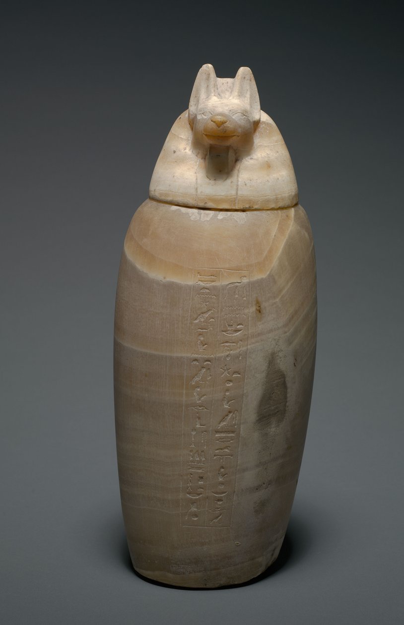 Canopic burk med schakalhuvud, 664-525 f.Kr av Egyptian 26th Dynasty