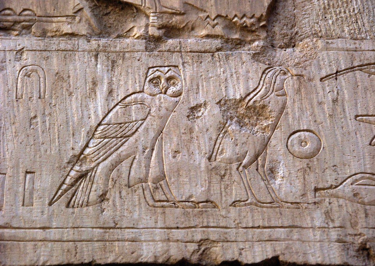 Egyptisk antikvitet: relief som representerar en uggla och en örn. Ankh-Hors grav (Ankh Hor) (TT414) (26:e dynastin, 672-525 f.Kr.), Luxor (Thebe), Egypten av Egyptian 26th Dynasty