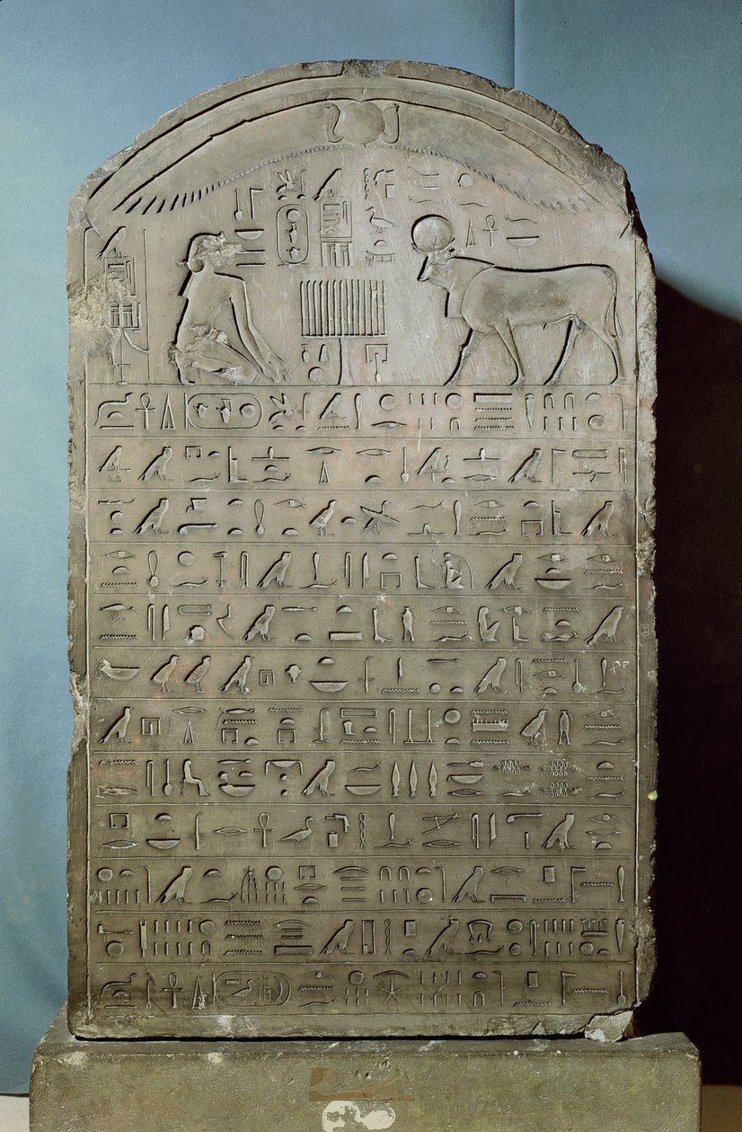 Stela till minne av begravningen av Apis-tjuren under Ahmose II:s (Amasis) regeringstid från Serapeum i Saqqara, sen period, 547 f.Kr. (kalksten) av Egyptian 26th Dynasty