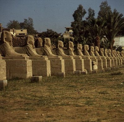 Sfinxernas aveny, tillagd av Nectanebo I (380-362 f.Kr.) Senare tid. av Egyptian 30th Dynasty