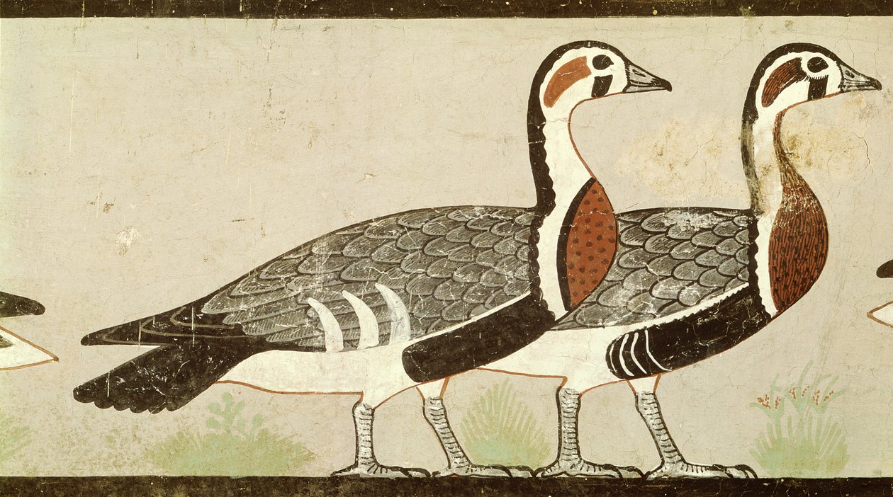Meidum gäss, från graven av Nefermaat och Atet, Gamla kungariket, c.2620 f.Kr. (målad stuckatur) av Egyptian 4th Dynasty