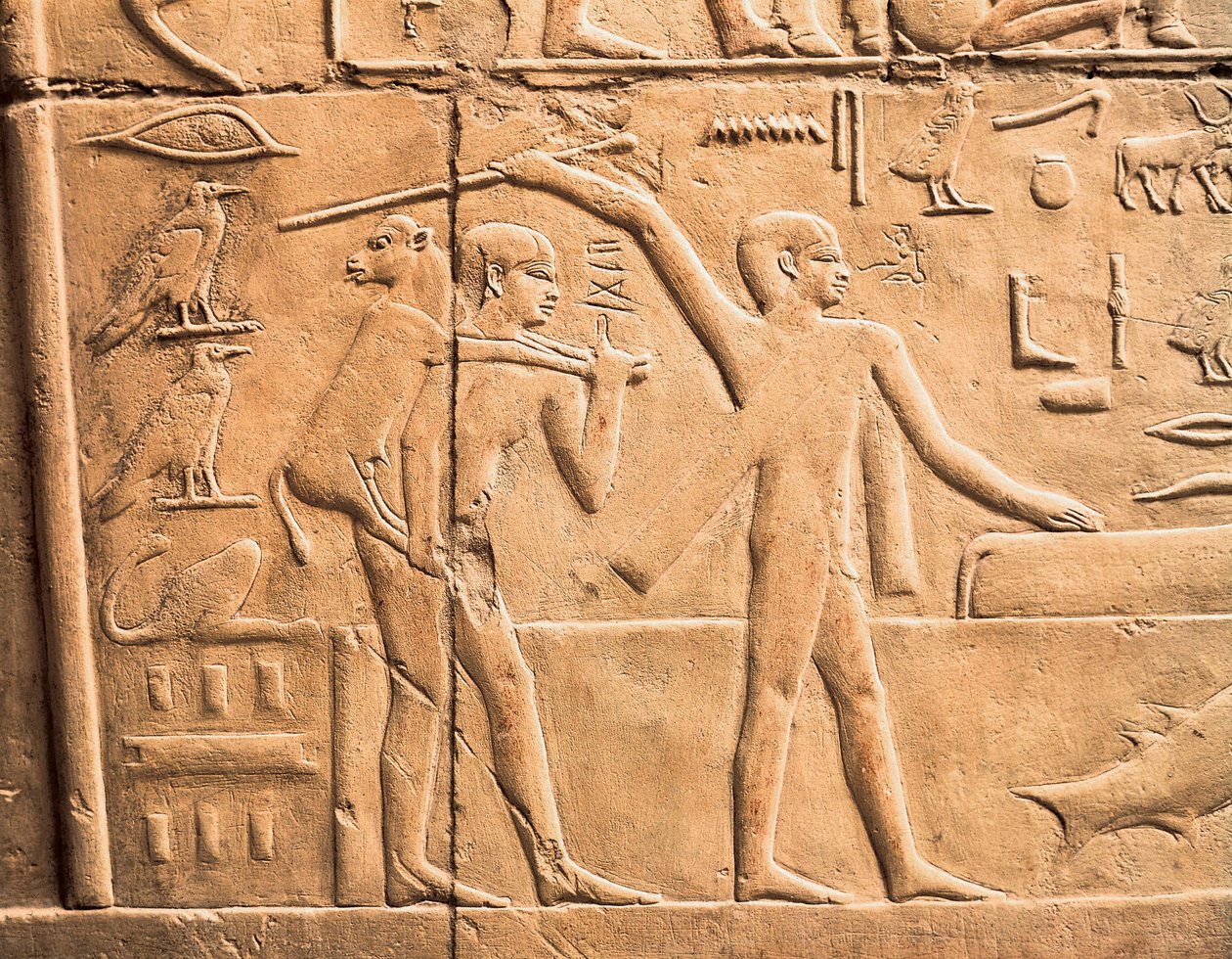 Scener av jordbruksarbete, detalj av Egyptian 4th Dynasty