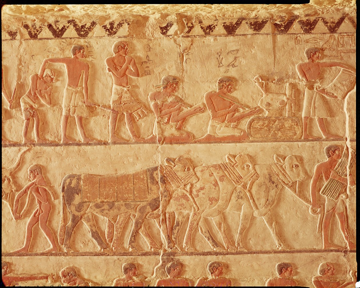 Målad relief som föreställer bokföringen av skatter och en grupp boskap, Gamla kungariket (väggmålning) av Egyptian 5th Dynasty