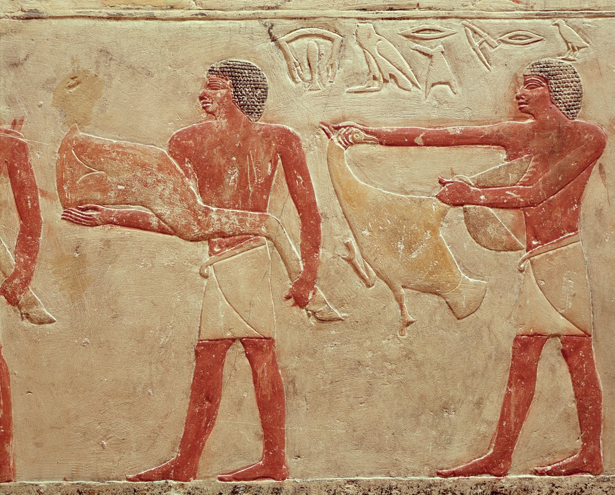 Relief som föreställer tjänare som bär på en grupp nötkött och en anka, från prinsessan Iduts grav, Gamla kungariket, ca 2330 f.Kr. (målad kalksten) av Egyptian 6th Dynasty
