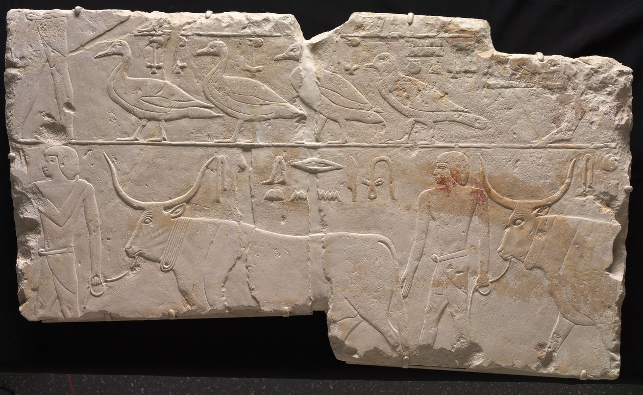 Relief av män som kommer med fåglar och boskap, c.2311-2281 f.Kr av Egyptian 6th Dynasty