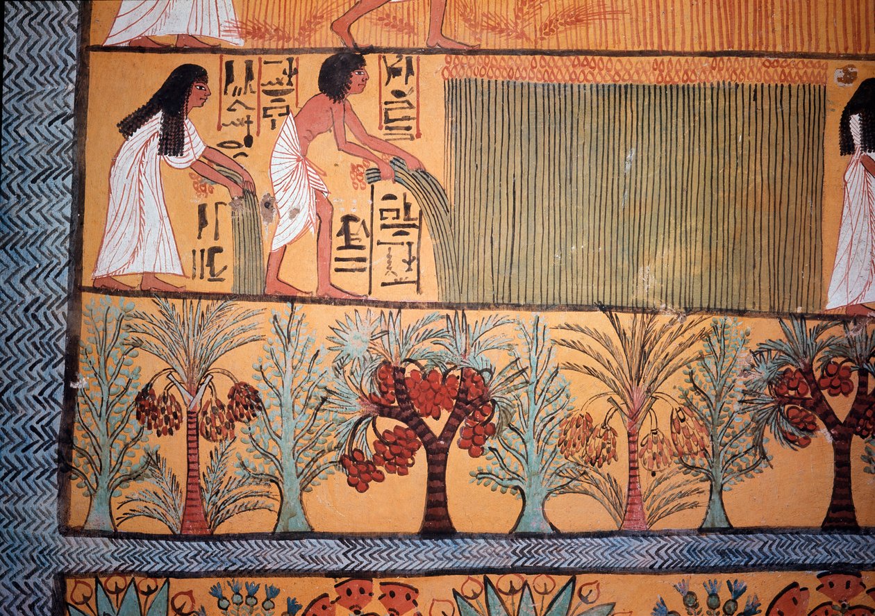 En skördescen (väggmålning av Egyptian Egyptian