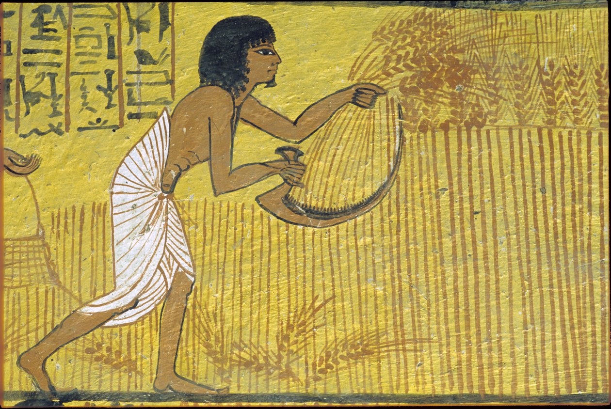 Forntida Egypten, Väggmålning, Sennedjems grav, De adligas grav, Thebe, Deir el Medina av Egyptian Egyptian