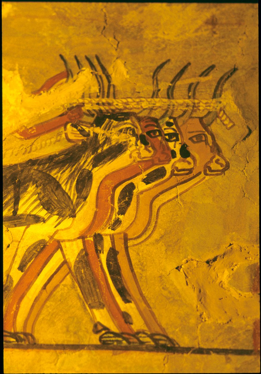 Forntida Egypten, Väggmålning, Sennufers grav, De adligas grav, Thebe av Egyptian Egyptian