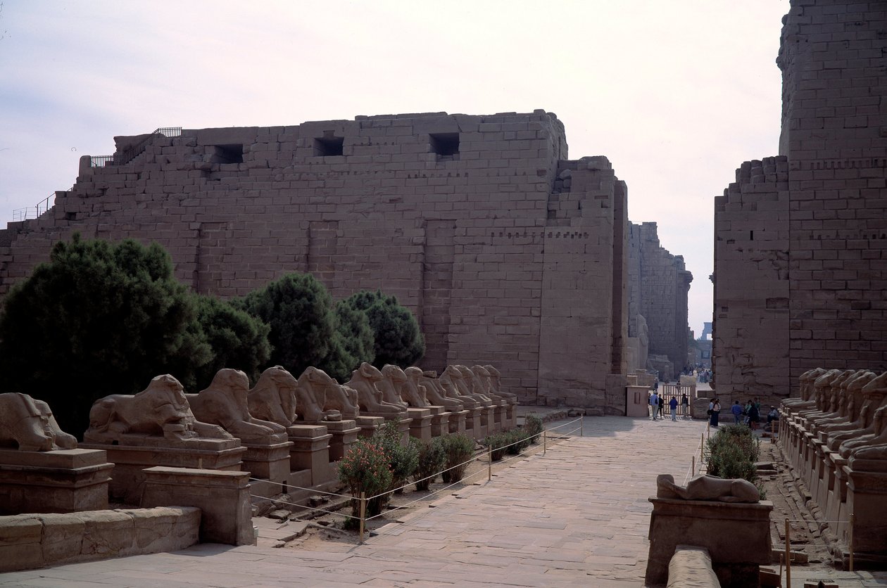 Egyptisk antikvitet: allee (dromos) af criosphinxen (sfinxen i spidsen af beliers) i Karnak, Luxor, Egyptswed av Egyptian Egyptian
