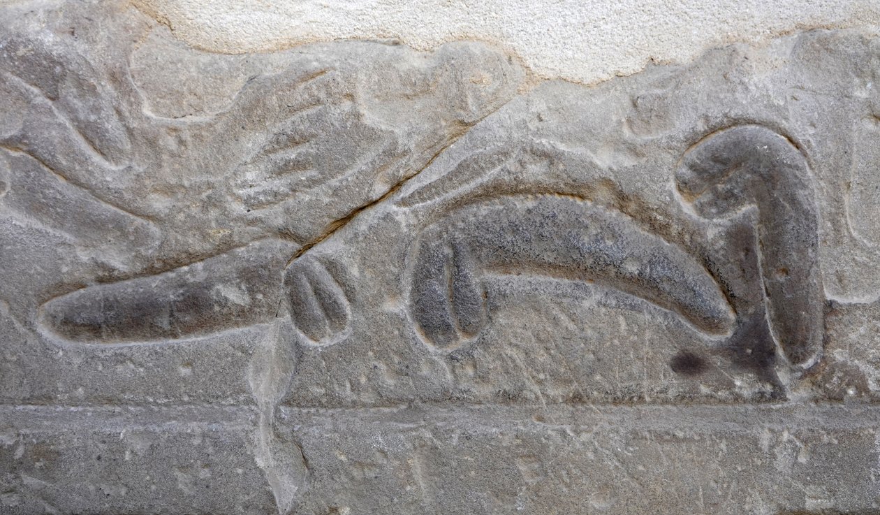 Högar med manliga könsorgan som skurits av fienden, Horustemplet, Edfu av Egyptian Egyptian
