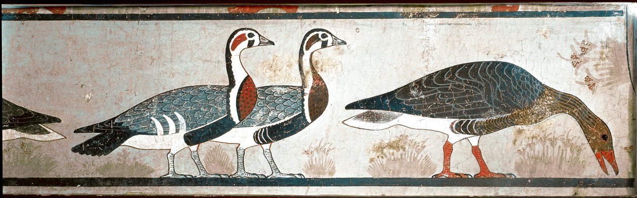 Gäss, detalj av en panel från Mastaba of Itet, fru till Nefermaat, Meidoum (målad kalksten) av Egyptian Egyptian