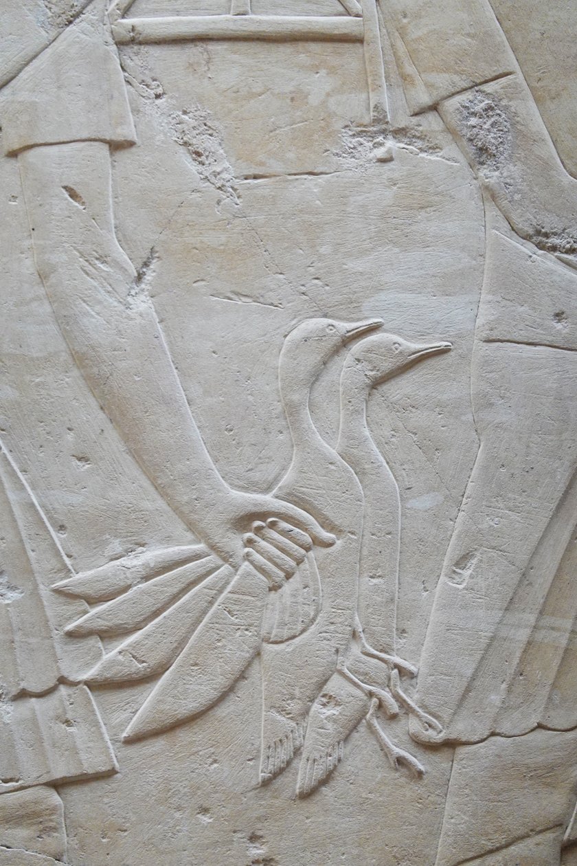 Hand som håller 2 gäss i vingarna, Ramoses grav av Egyptian Egyptian