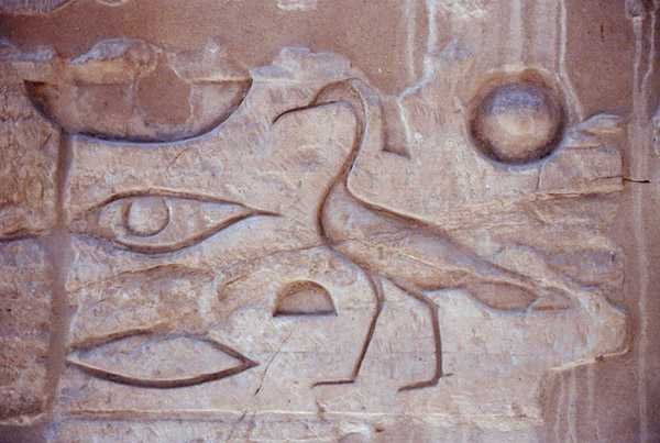 Hieroglyfer från en pelare, Luxortemplet (foto) av Egyptian Egyptian
