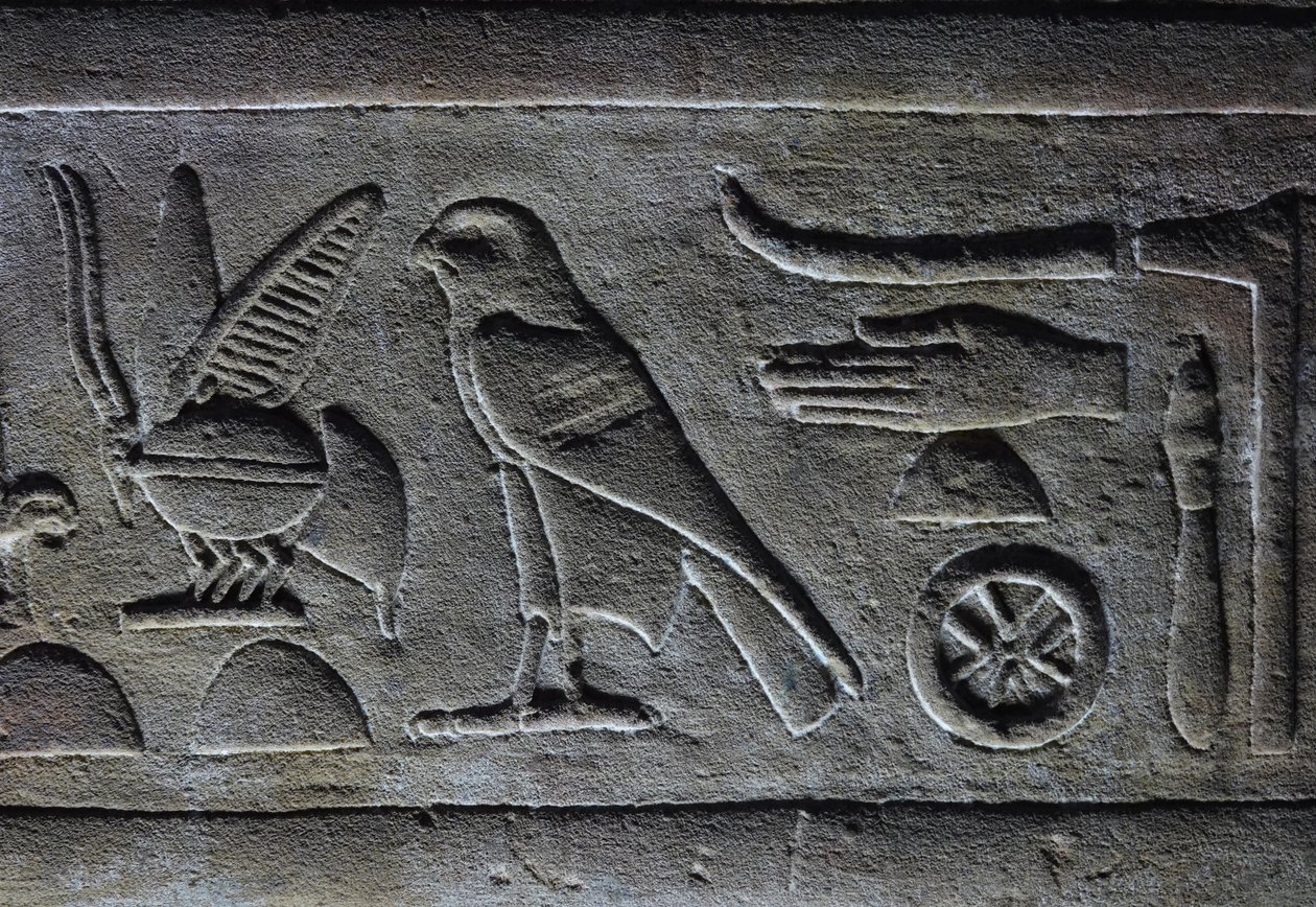Hieroglyps, faraos bi och Horus-falken, Horus-templet, Edfu av Egyptian Egyptian