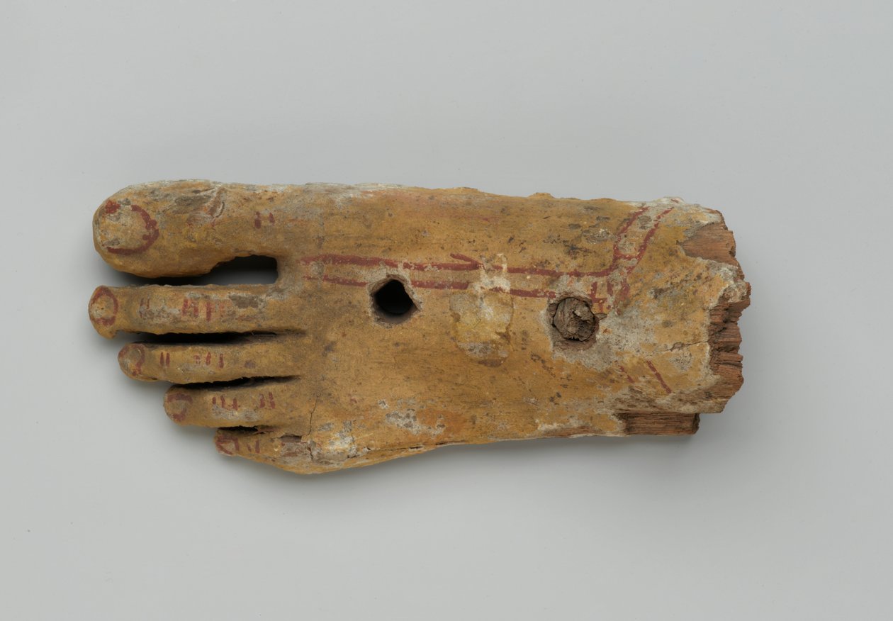 Vänster fot från en antropoid kista, 30 f.Kr.-2:a århundradet e.Kr. (trä och gips) av Egyptian Egyptian