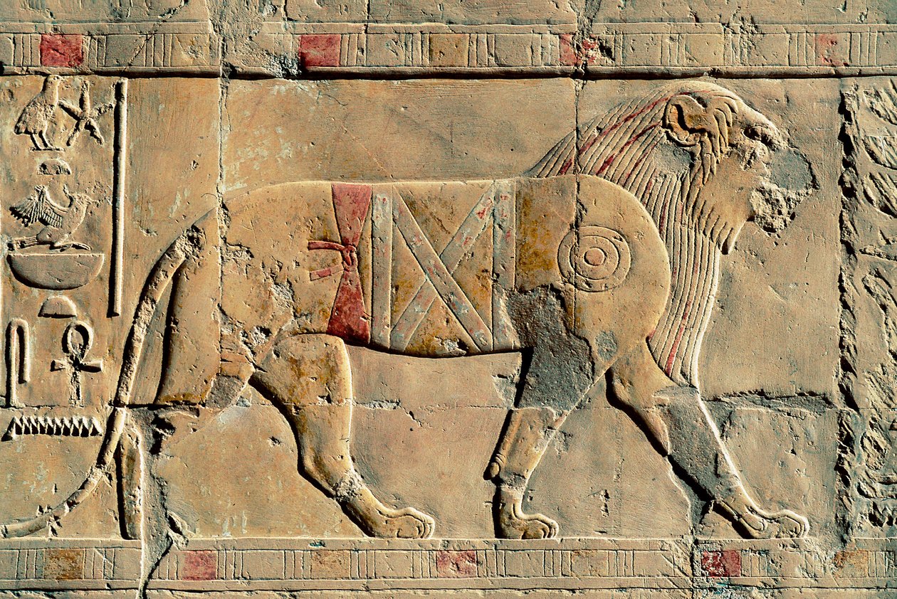Lejon, Senenmut, Hatshepsuts tempel, Dayr al-Bahri, Egypten av Egyptian Egyptian