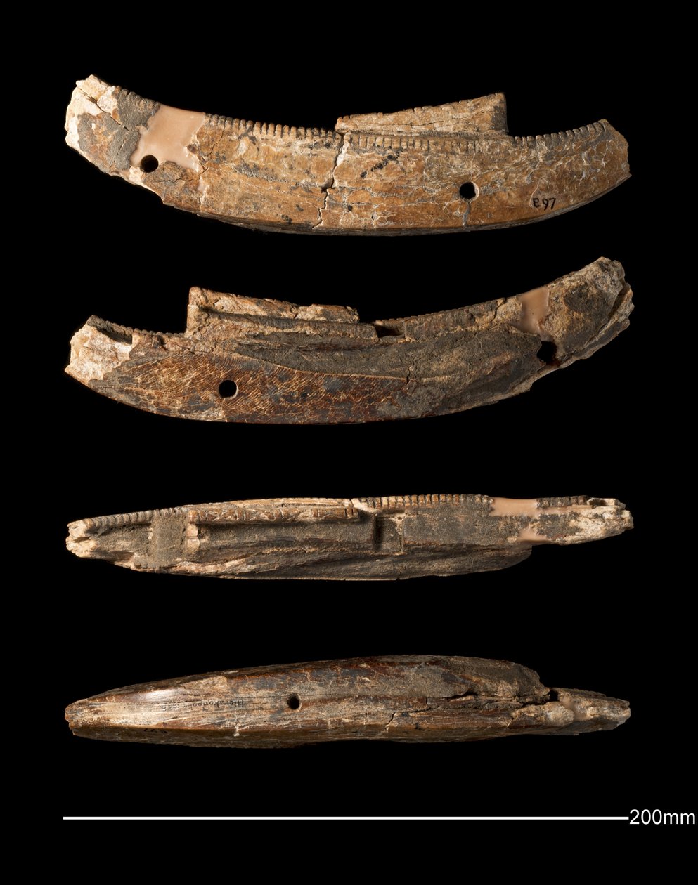 Modellbåt, Hierakonpolis, tidig dynastisk period (c. 2950 - c. 2575 f.Kr.) (ristat elfenben) av Egyptian Egyptian