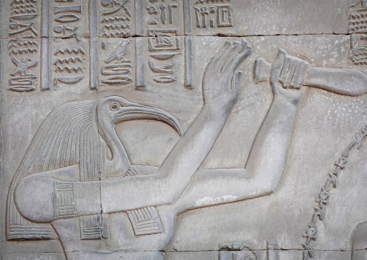 Thot, Kom Ombo-templet (relief) av Egyptian Egyptian