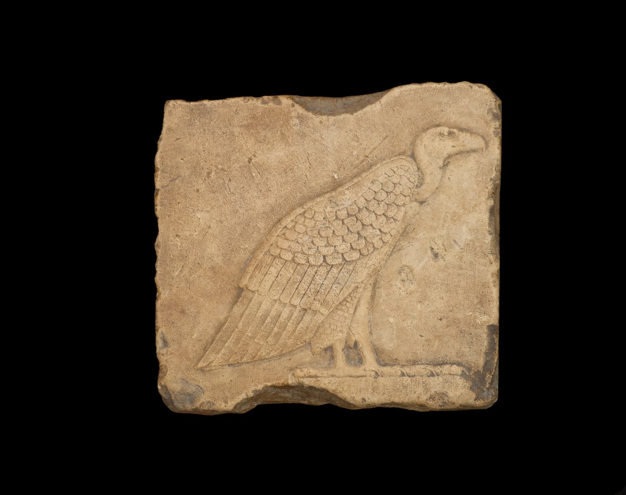 Ett block med en stående gam på ena sidan och en uggla på andra sidan, båda i lågrelief, ptolemaisk period, 305-30 f.Kr. (kalksten) av Egyptian Ptolemaic Period