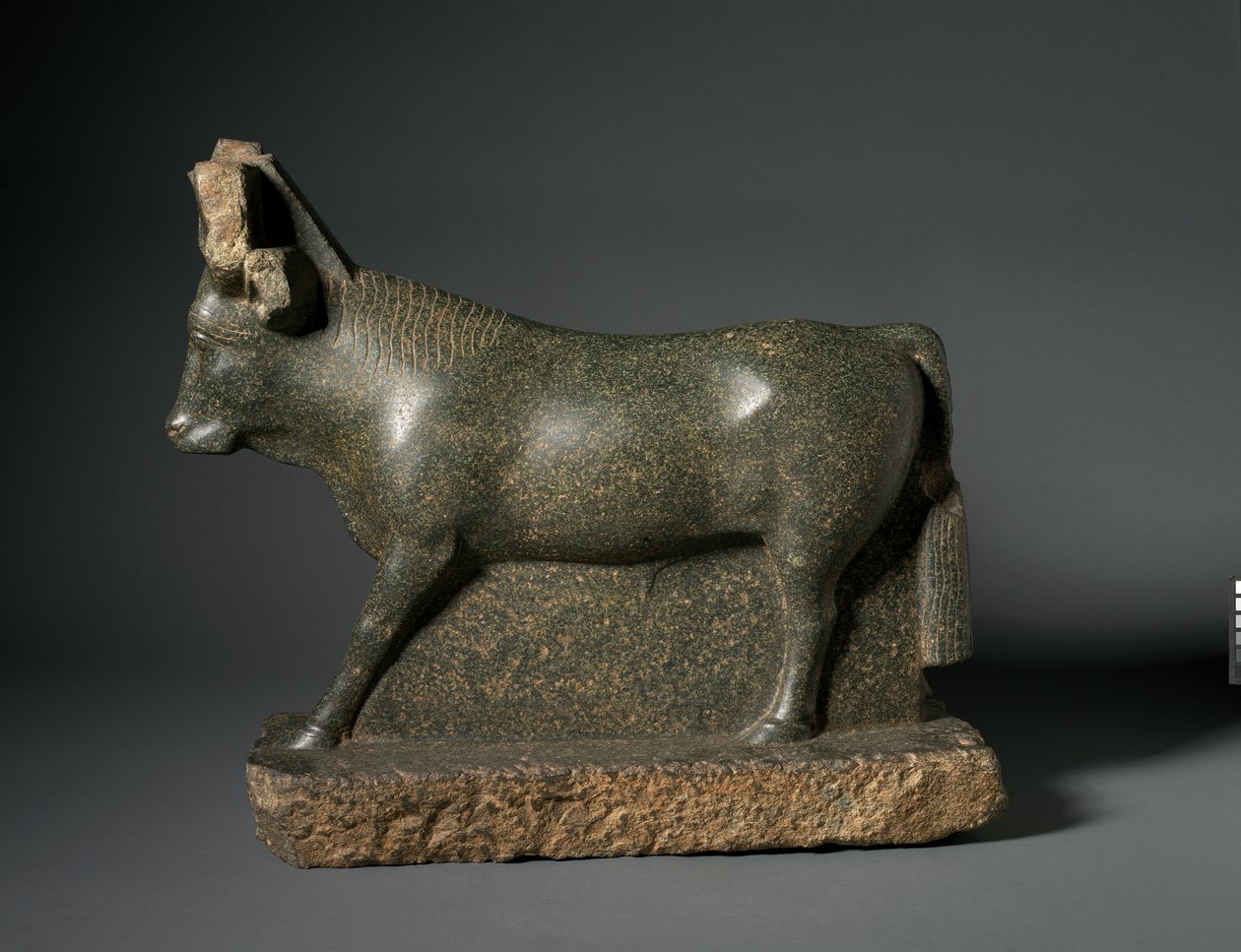 Apis Bull, 400-100 f.Kr. (serpentinit) av Egyptian Ptolemaic Period