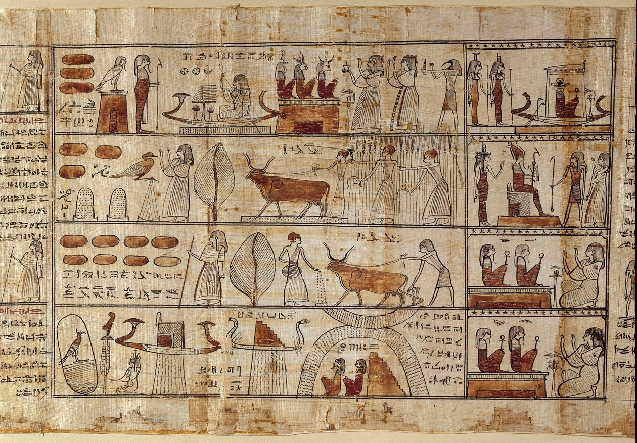 Egyptisk antikvitet: Elyseesfälten. Målning på papyrus från dödboken. Ptolemaiska perioden Turin, egyptiskt museum - Forntida Egypten: de elysiska fälten. Målning på papyrus från dödboken. Ptolemaisk period. Egyptiska museet, Turin, It av Egyptian Ptolemaic Period