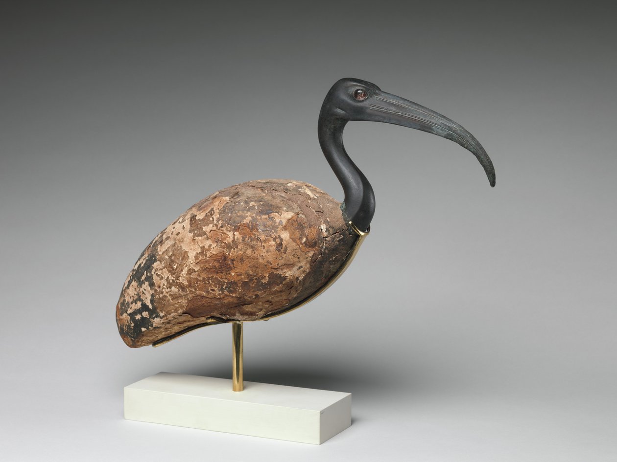 Ibis (målat trä och brons, glasögon) av Egyptian Ptolemaic Period