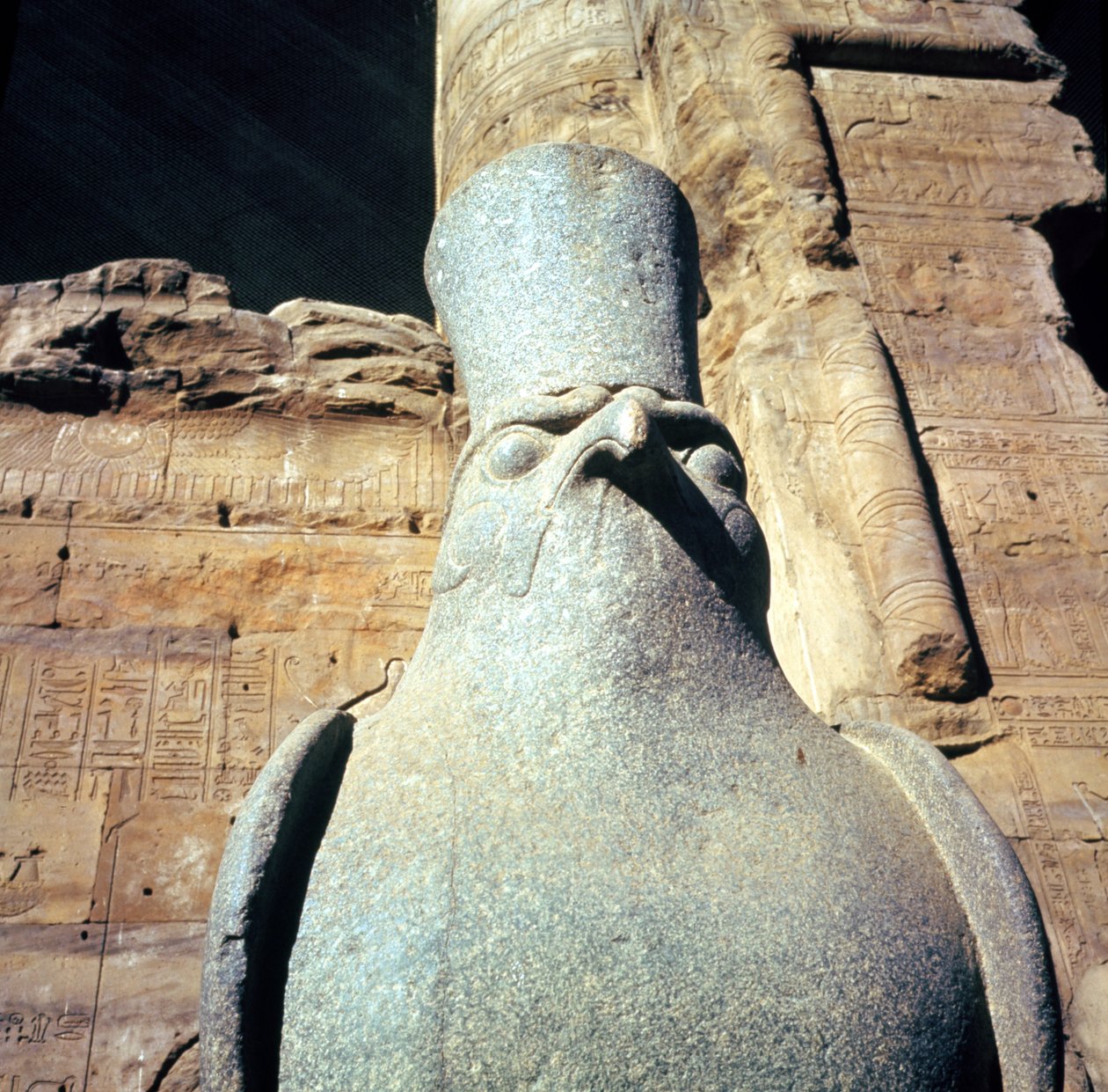 Staty av Horus, i offergården i Horustemplet (detalj) av Egyptian Ptolemaic Period