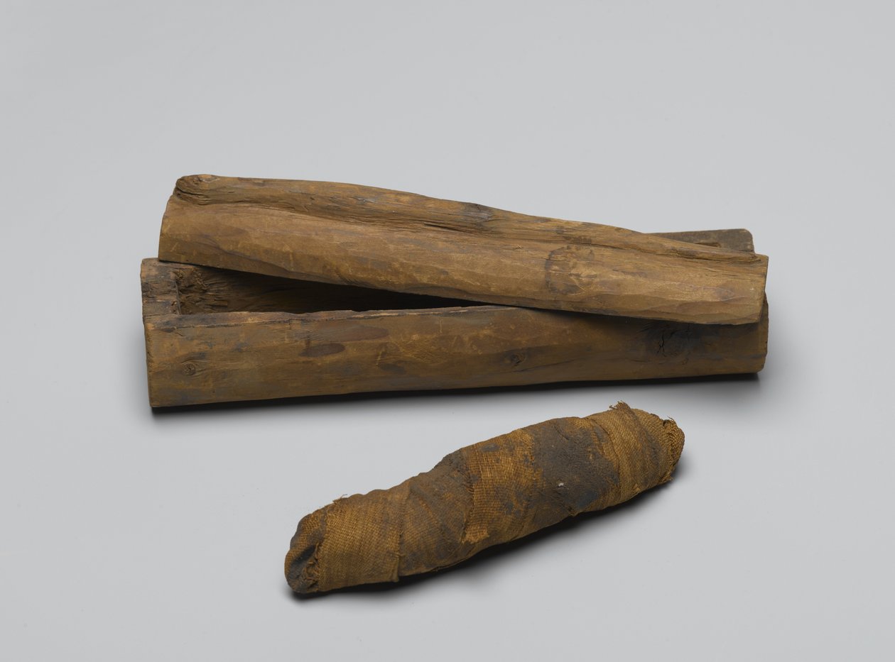 Liten kista av orm, med mamma, 664 BC-322 BC (trä, djurrester och linne) av Egyptian School