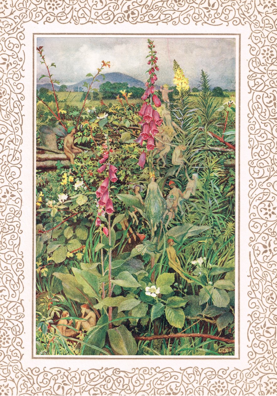 Naues Fairies among Foxgloves, illustration från 