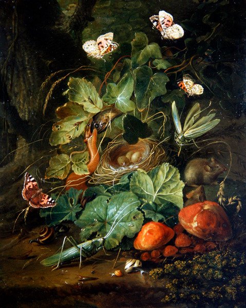 Ett stilleben på skogsgolvet med frukt och fjärilar (olja på panel) av Elias van den Broeck